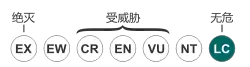 Status iucn3.1 LC zh