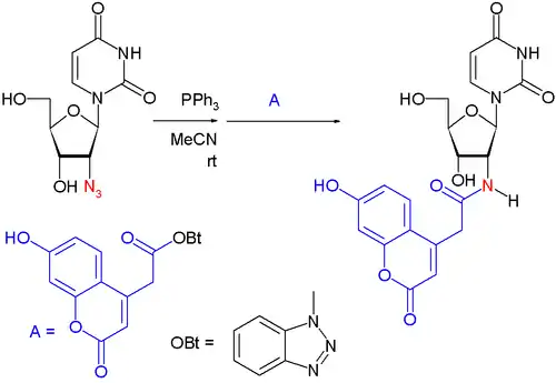 Stauding Ligation 应用 Kosiova 2006