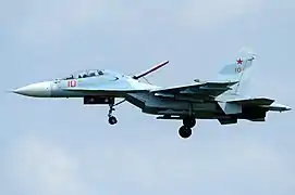 俄羅斯空軍Su-30M2