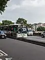 臺中市公車323路華德電動公車