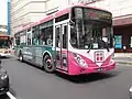 有櫻花塗裝之100路「HINO ERK2JML」