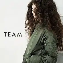 Lorde looking down with her face partially obscured by long curly dark hair, wearing a khaki-coloured bomber jacket and the text "TEAM"