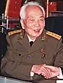 仿87式设计的越南94式将官夏常服（武元甲大将）