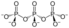 Triphosphation