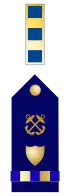 U.S. Coast Guard chief warrant officer 2 rank Insignia