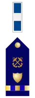 U.S. Coast Guard chief warrant officer 3 rank insignia