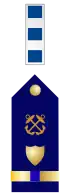 U.S. Coast Guard chief warrant officer 4 rank insignia