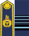 英國皇家空軍空軍上將(Air chief marshal（英语：）)肩章及袖章