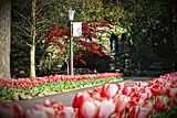 University of Notre Dame's replica of the Grotto at Lourdes