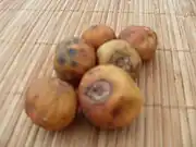 圓滑果Spanish tamarind