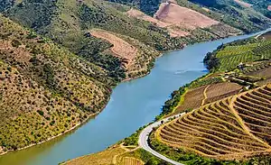 A river with terraced vineyards