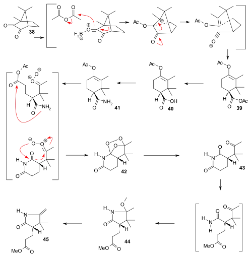 Vitamin B12 BC ring part I