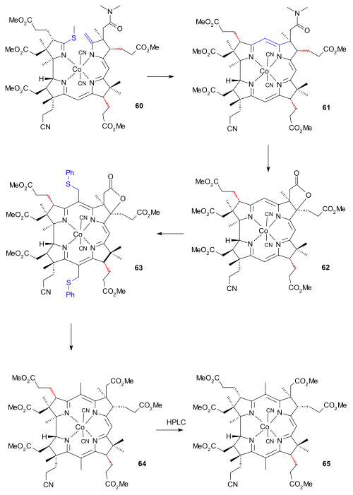 Vitamin B12 BCAD construction part II