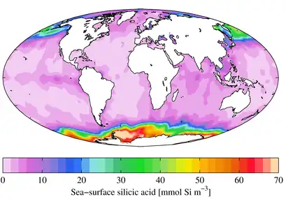 在南冰洋遠洋帶海水中有較高濃度的矽酸 。