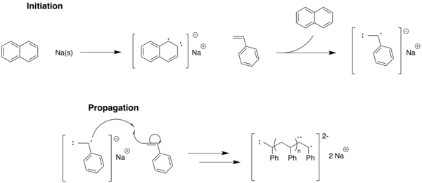 This is showing one of the first examples of a living anionic polymerization.  Note the absence of a termination or chain transfer step.