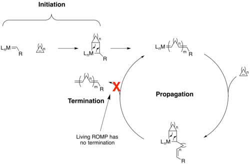 The catalytic cycle of a living ring-opening metathesis polymerization with a metal catalyst.  Note that the ring can be any size, but should contain some significant ring strain on the alkene.