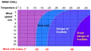 攝氏溫標的風寒指數