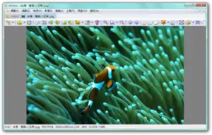 XnView 1.97.1執行於Windows 7