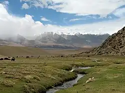 Yangpachen Valley