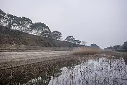 镇海后海塘城塘合一部分