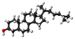 Ball-and-stick model of zymosterol